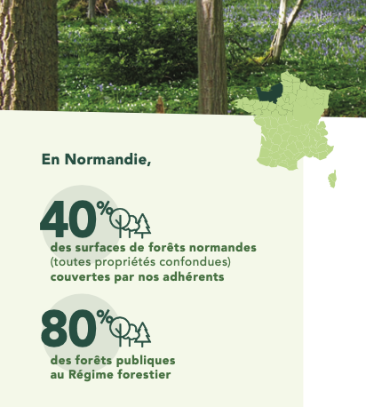 Mise en page d'informations sur l'Union Régionale Normandie avec pictogrammes sur le thème de la forêt